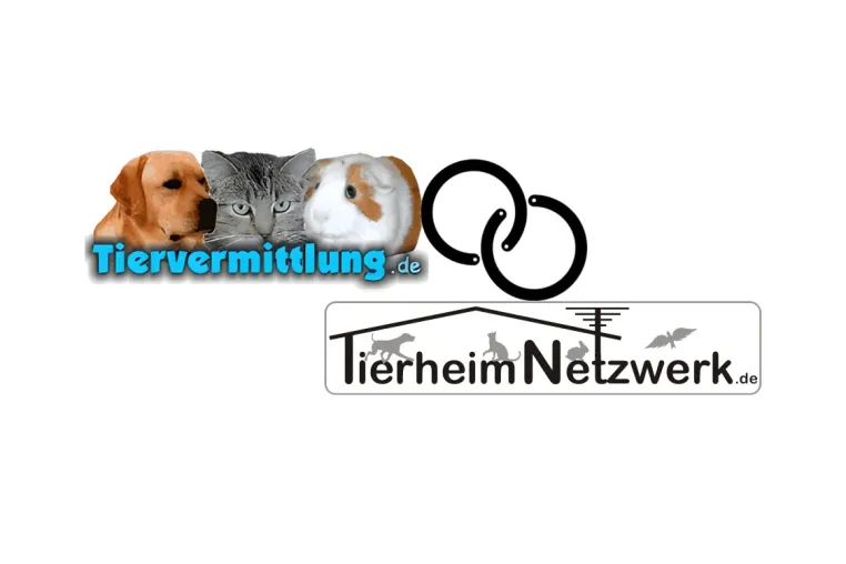 Bild: Tiervermittlung.de und TierheimNetzwerk.de – Digitalisierung stärkt den Tierschutz