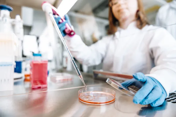 Bild: ASC Oncology beantwortet die Frage nach der Wirksamkeit von Krebsmedikamenten am Patiententumor