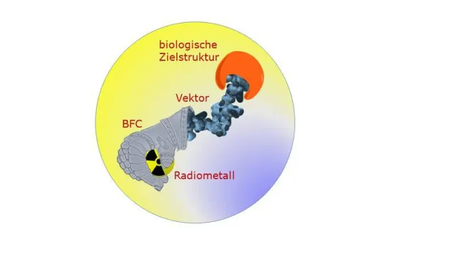 Radioaktive Metallkomplexe zur Diagnose und Therapie von Tumoren Bild: Radioaktive Metallkomplexe zur Diagnose und Therapie von Tumoren