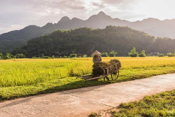 Bild: Vietnam und Laos Rundreise – Off the beaten track
