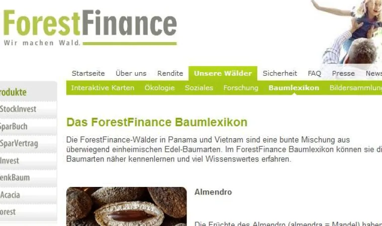 Bild: Baumlexikon von ForestFinance: Ausführlich informativ