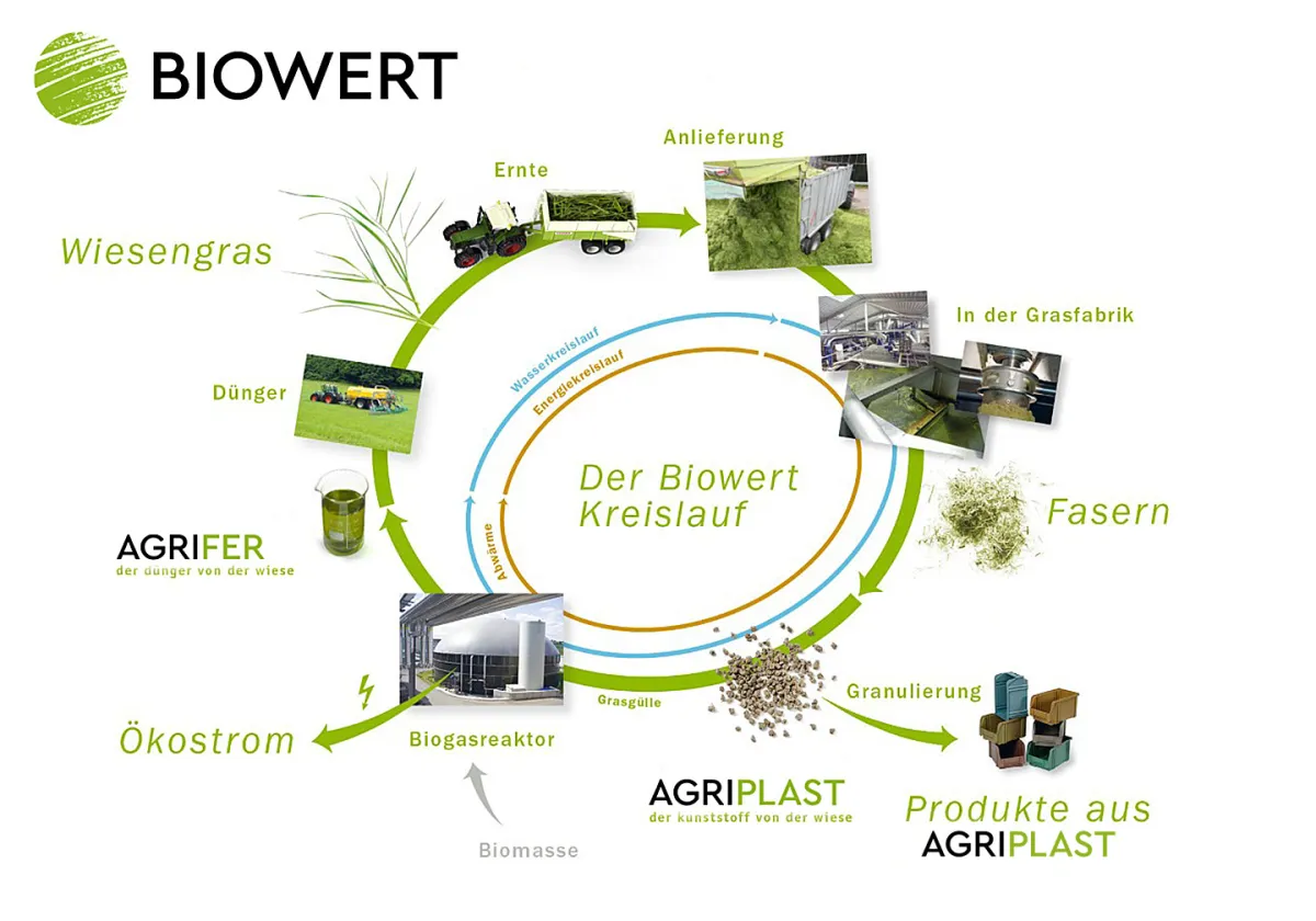 Biowert setzt Bioökonomie in die Praxis um: Grasfasern ersetzen herkömmliche Polymere. (© Biowert Industrie GmbH)