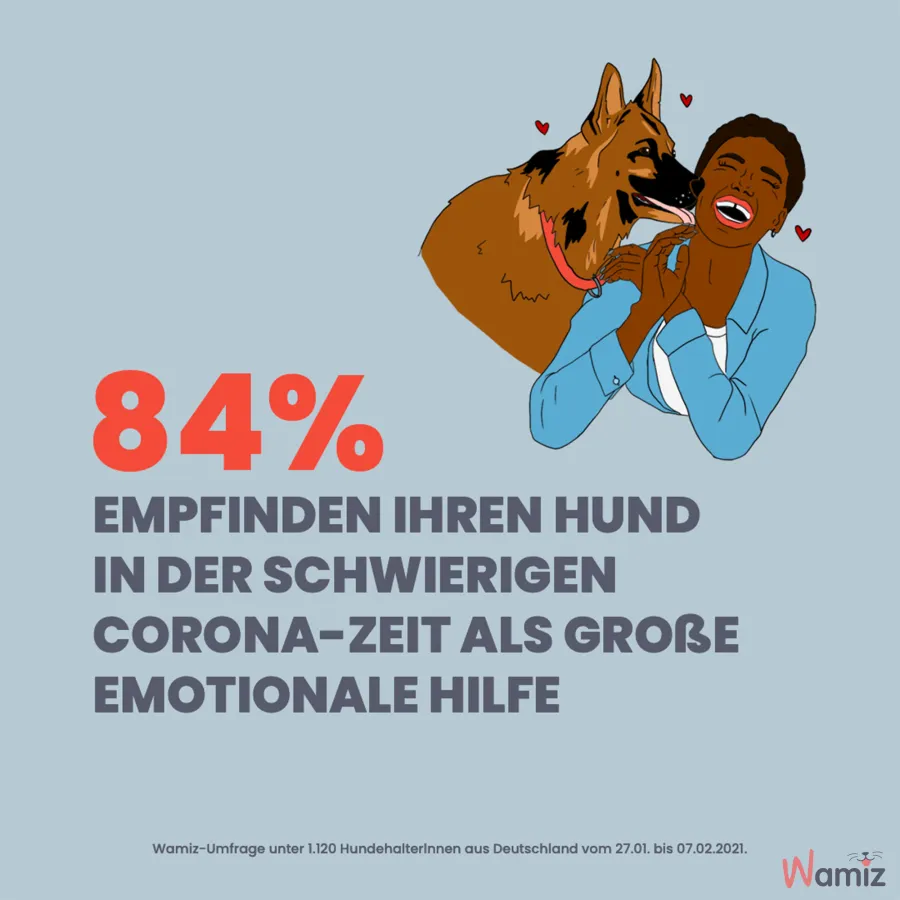 Der Hund wird in der Pandemie zum Seelentröster.