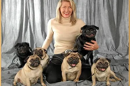 Bild: Mopszucht vom Mägdebrunnen erweitert Zuchtziele auf Therapiehunde