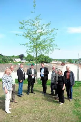 Wir forsten auf. Wir spielen mit.: Deutsche Reihenhaus spendet Eichen für das Bergische Plateau in Wuppertal Bild: Wir forsten auf. Wir spielen mit.: Deutsche Reihenhaus spendet Eichen für das Bergische Plateau in Wuppertal