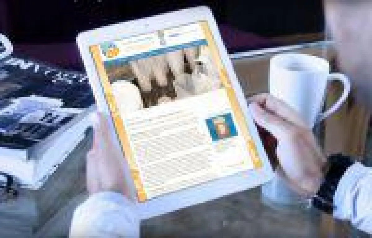 Pack4Food24 Onlineshop