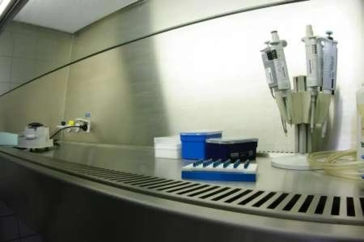 DNA-Analyse bedeutet arbeiten in einer sterilen Umgebung (Laminarflow-Werkbank)