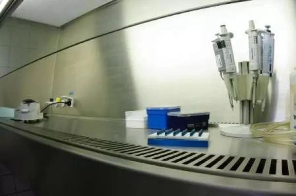 Auch Tumore bilden Stammzellen Bild: Auch Tumore bilden Stammzellen