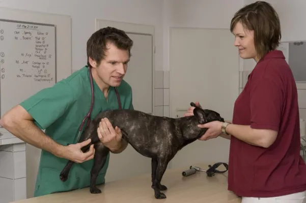 Bild: 27. Deutscher Tierärztetag in Bamberg: Einladung zum Pressegespräch am 29. Oktober 2015, 11 Uhr