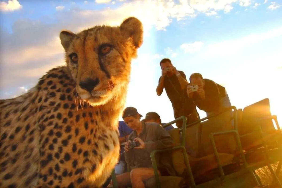 Unvergessliche Momente mit BUSINESS & NATURE