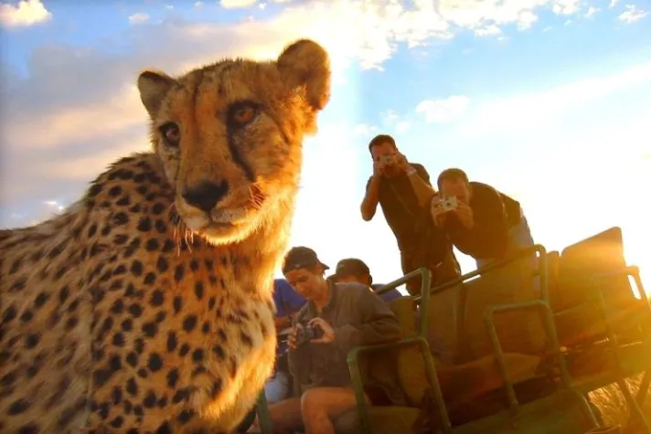 10 Jahre BUSINESS & NATURE Bild: 10 Jahre BUSINESS & NATURE