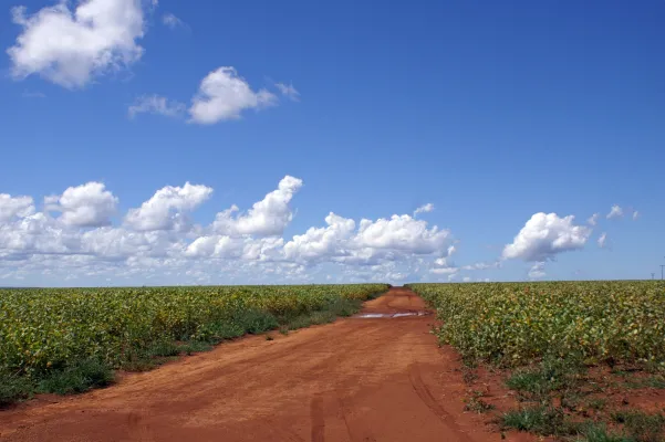 Bild: Brasilien verleiht Tropenwaldfonds neuen Schub – Deutschland muss nun aktiv mitgestalten