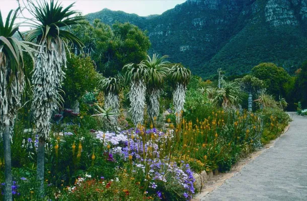 Bild: Zauberhafte Gartenreise - Südafrika zeigt sich von seiner schönsten Seite
