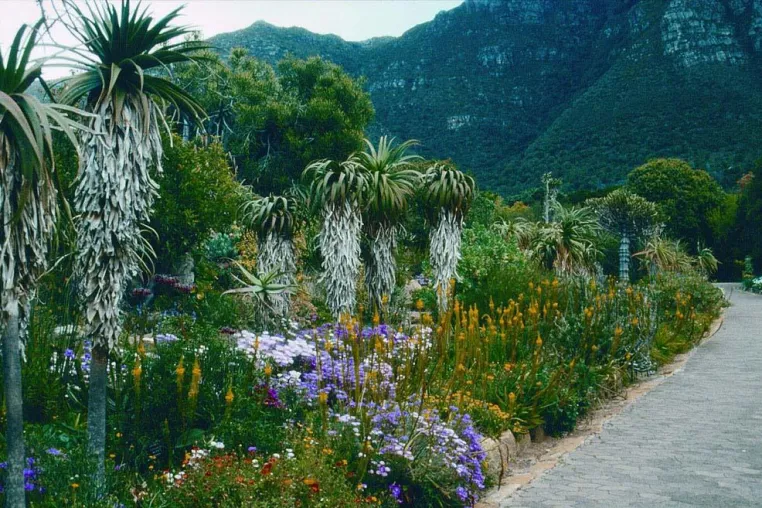 Bild: Zauberhafte Gartenreise - Südafrika zeigt sich von seiner schönsten Seite