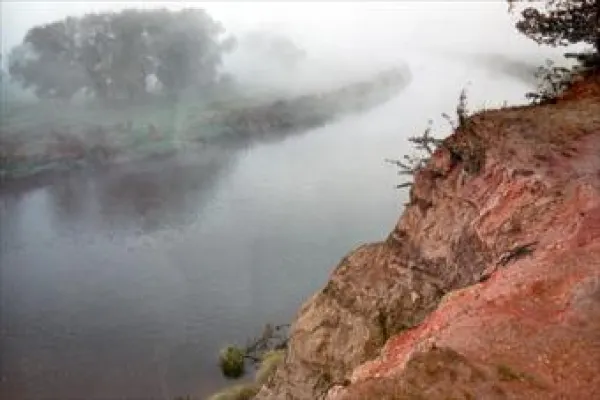 Bild: Dübener Heide: Morgentau über einer Wiese - Imposante Naturfotografien bis 25. März in Bad Düben zu sehen