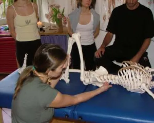 Bild: Nebenberufliche Ausbildung im Massage und Wellnessbereich