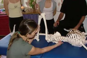 Bild: Nebenberufliche Ausbildung im Massage und Wellnessbereich