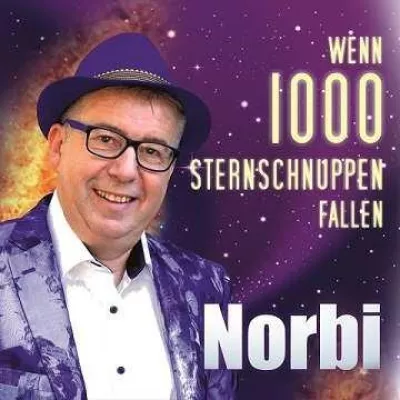 Wenn tausend Sternschnuppen fallen – das neue Lied von Norbi Bild: Wenn tausend Sternschnuppen fallen – das neue Lied von Norbi
