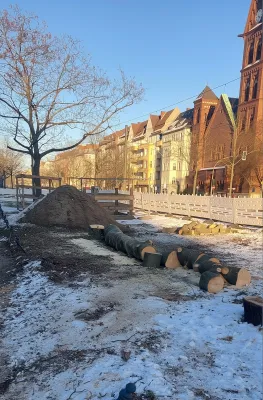 Ganzheitlicher Service der Baumpflege Kasper GmbH für Baumfällungen in Berlin Bild: Ganzheitlicher Service der Baumpflege Kasper GmbH für Baumfällungen in Berlin