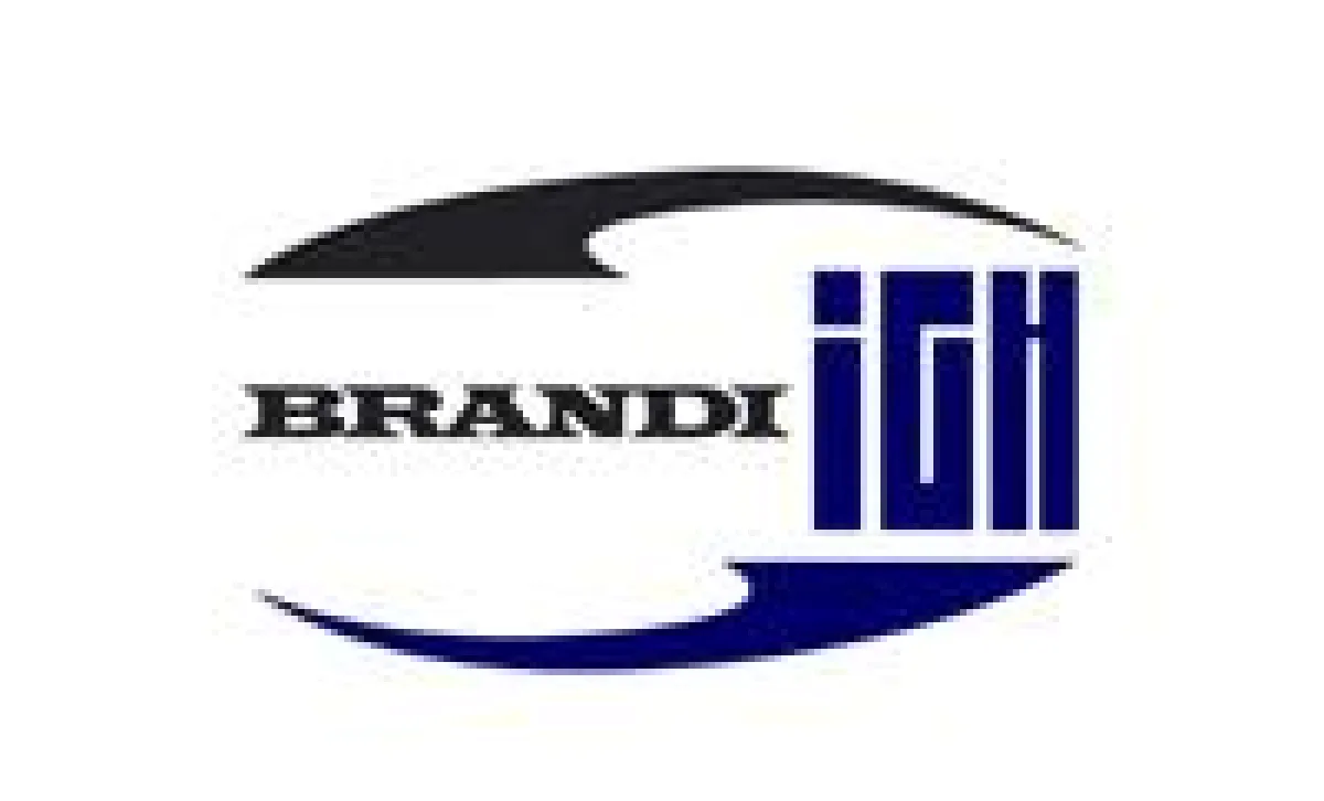 Logo der BRANDI IGH