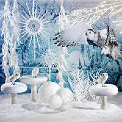 Bild: Deko Spezialist Woerner: Funkelnde Wintermagie – die neuesten Wintertrends