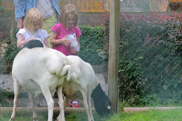 Bild: Neuer Vulkan - Freizeitpark in Nieder-Moos - Eröffnung am 24. Juli