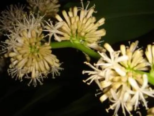 Bild: Die Wohlfühlpraxis ist definiert