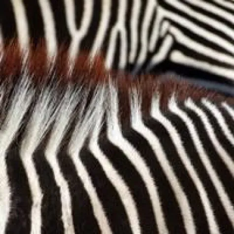 Bild: Knauf führt globale Benutzerverwaltung ein