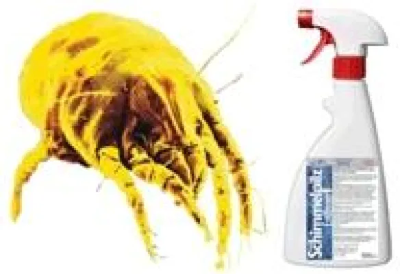 Bild: Produkte von Jati gegen Milbenallergene getestet