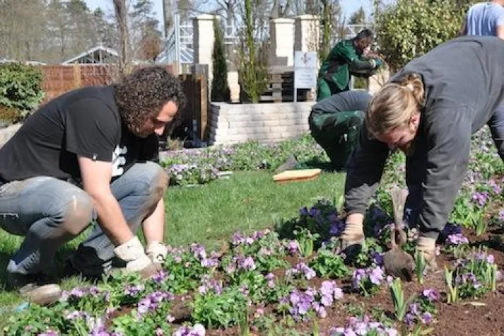 Bild: Umfrage unter Thüringer Azubis am Ende ihrer Ausbildungszeit