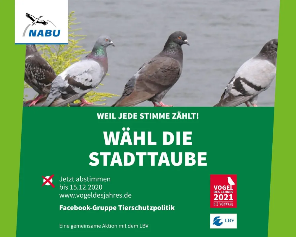 Facebook-Gruppe Tierschutzpolitik: