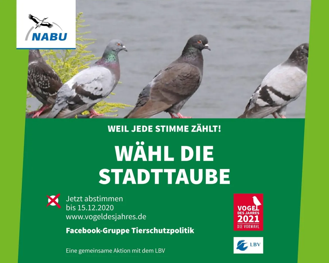 Facebook-Gruppe Tierschutzpolitik:  