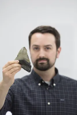 Bild: Megalodon: Die abwechslungsreiche Diät des Riesenzahn-Hais