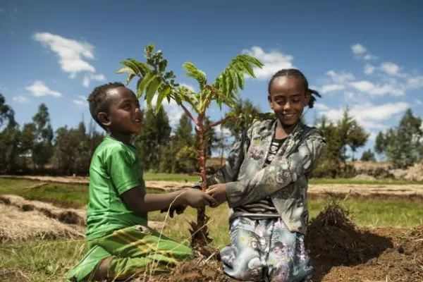 Bild: Wie die Stiftung Menschen für Menschen mit Aufforstungsmaßnahmen sauberes Grundwasser erzeugt