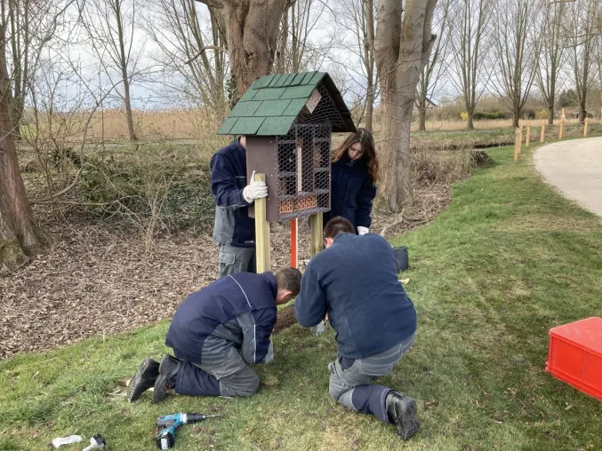 Bild: E.DIS: Auszubildende des Netzbetreibers engagieren sich für Artenschutz von Insekten in Brandenburg