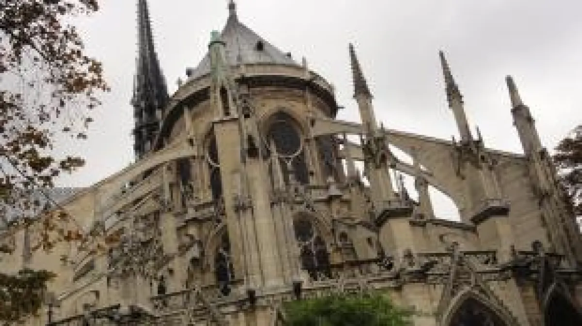 Ähnlich dem Strebewerk von Notre-Dame verteilt das Trabekelwerk im Kieferknochen die Belastung auf ein Implantat. Foto ©P. Daubitz