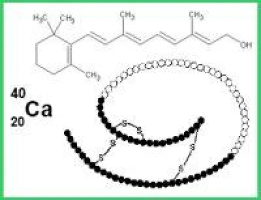 Bild: Wissenschaft aktuell: Selen als multifunktionelles Spurenelement