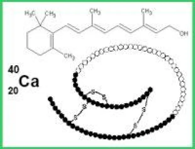 Bild: Wissenschaft aktuell: Selen als multifunktionelles Spurenelement