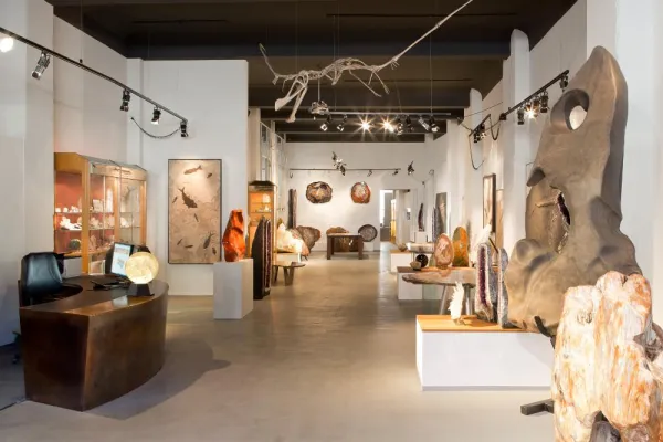 Bild: Sonderausstellung "Versteinertes Holz" unter dem Markennamen Crystal Wood