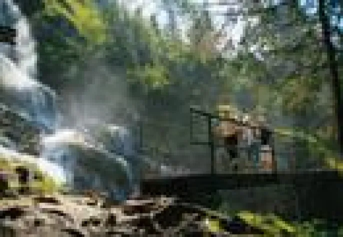 Bild: Pfiffiges Online-Design für die Romantischen Straße