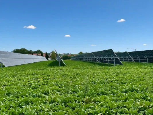 Arbeitsentwurf EEG 2027: Ylektra begrüßt das Bekenntnis zur Agri-PV, warnt jedoch vor Stagnation Bild: Arbeitsentwurf EEG 2027: Ylektra begrüßt das Bekenntnis zur Agri-PV, warnt jedoch vor Stagnation