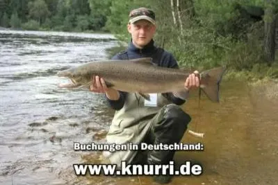 Neues Angelvideo auf Angel-News.de Bild: Neues Angelvideo auf Angel-News.de