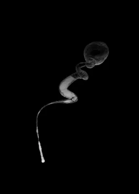 Bild: "Künstliche Paradoxien" Martin Eder, Marco Habeck, Martin Wühler in der GALERIE SUPPER Baden-Baden