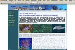 Bild: Reiseinfo Kroatien informiert über Tauchen im Spätsommer