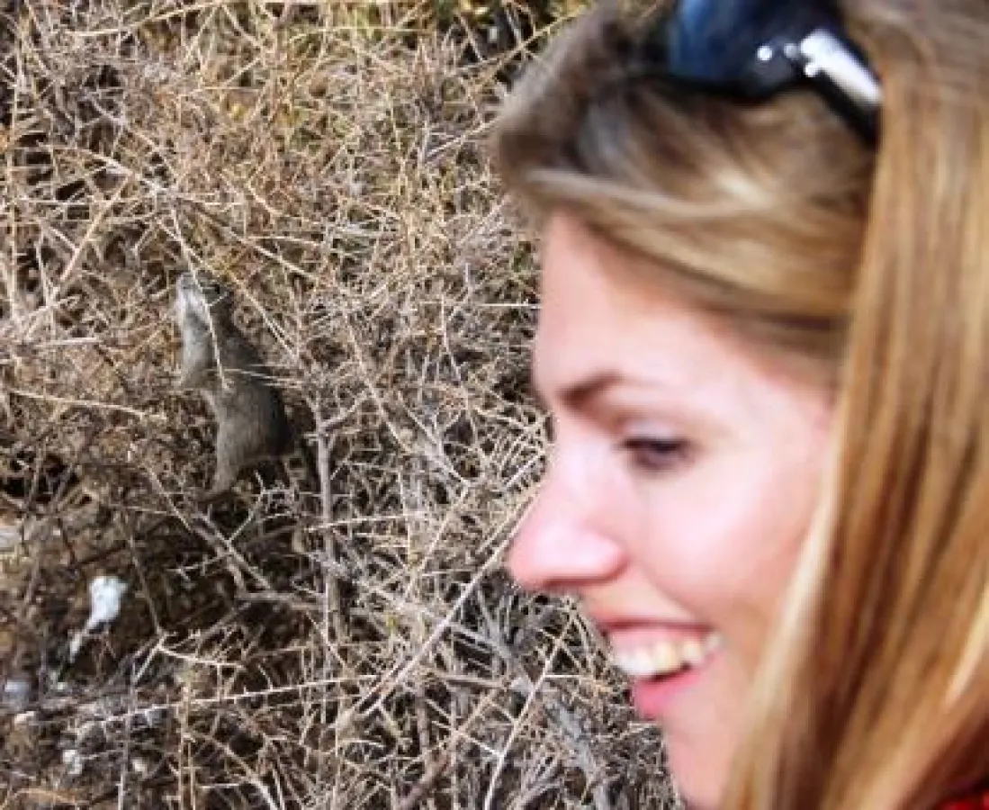 Ganz schön frech und flink präsentiert sich der Degu Martina Hirschmeier.