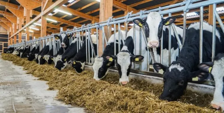 Bauer sucht Vorsorge! Bild: Bauer sucht Vorsorge!