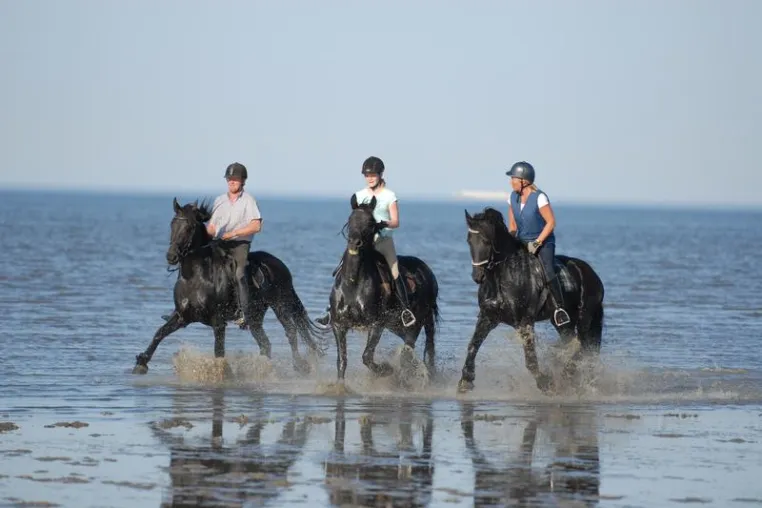 Und das Leben ist doch ein Ponyhof Bild: Und das Leben ist doch ein Ponyhof