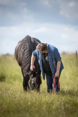 Bild: Wie Pferde Trauernden helfen – Trauerhilfe auf vier Hufen