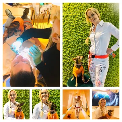Doc Peppi ist der erste Therapiehund in einer Zahnarztpraxis in Deutschland Bild: Doc Peppi ist der erste Therapiehund in einer Zahnarztpraxis in Deutschland