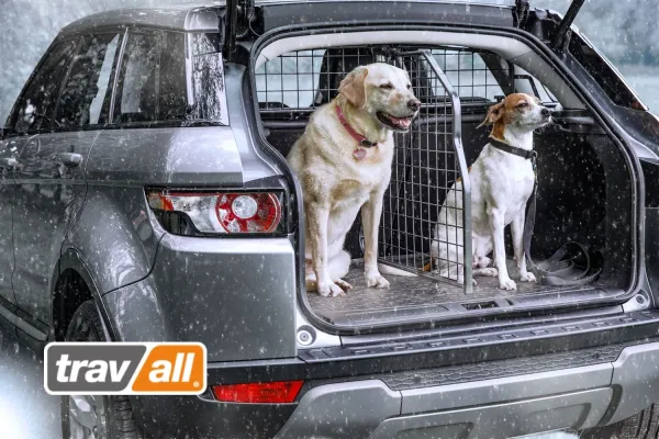 Das Auto mit dem Travall® Sortiment auf die Feiertage vorbereiten Bild: Das Auto mit dem Travall® Sortiment auf die Feiertage vorbereiten